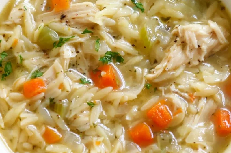 Bowl of Lemon Chicken Orzo Soup filled with chicken, orzo, and fresh lemon slices